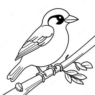 Pagina da Colorare degli Orioles | pagina da colorare Orioli