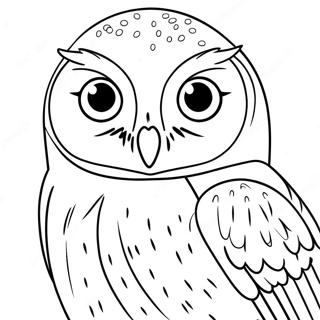 Pagina da Colorare di Edvige il Gufo | pagina da colorare Hedwig