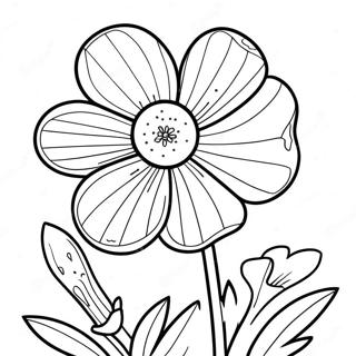 Pagina da colorare di Fiore di Ranuncolo | pagina da colorare Ranuncolo