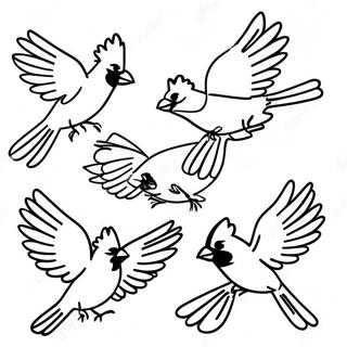 Pagina da Colorare Cardinali Colorati in Volo | pagina da colorare Cardinali