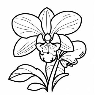 Pagina da colorare della bellissima orchidea in fiore | pagina da colorare Orchidea