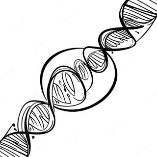 Pagina da Colorare della Elica del DNA Colorata | pagina da colorare DNA