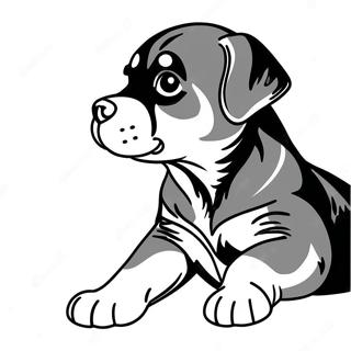 Pagina da Colorare del Cucciolo di Rottweiler Giocoso | pagina da colorare Rottweiler