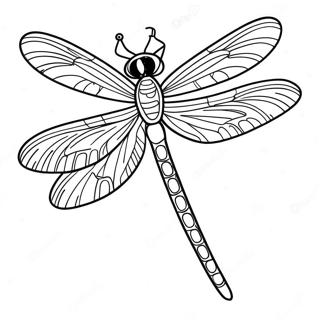 Pagina da Colorare di Libellula | pagina da colorare Libellula