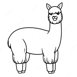 Pagina da Colorare dell'Alpaca | pagina da colorare Alpaca