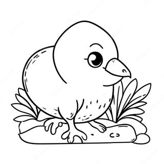 Pagina da Colorare del Carino Uccello Kiwi | pagina da colorare Kiwi