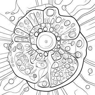 Pagina da Colorare della Struttura Cellulare | pagina da colorare Cellula