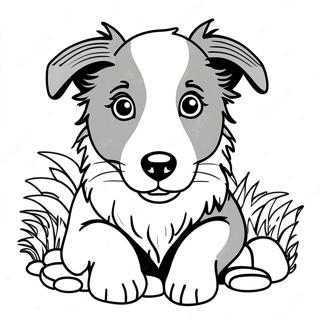 Pagina da Colorare del Cucciolo Border Collie | pagina da colorare Border Collie