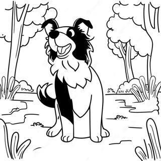 Pagina da Colorare del Border Collie Giocoso nel Parco | pagina da colorare Border Collie