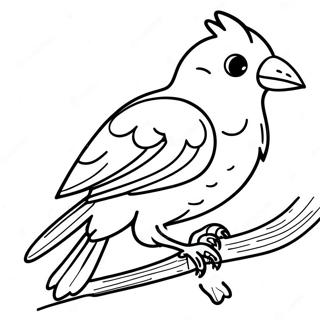 Uccello Tropicale Pagine da Colorare