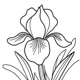 Pagina da Colorare Fiore di Iris | pagina da colorare Iris