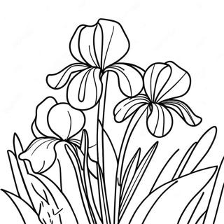 Pagina da Colorare Bellissimo Giardino di Iris | pagina da colorare Iris