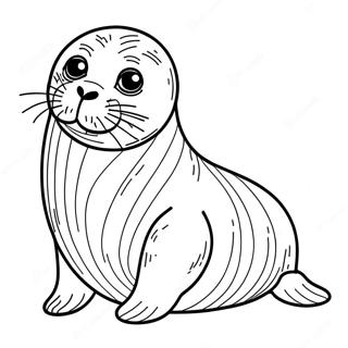 Pagina da Colorare Foca | pagina da colorare Foca