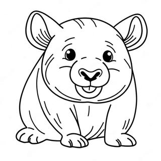 Pagina da Colorare del Wombat | pagina da colorare Wombat