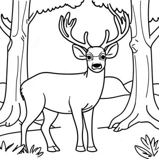 Pagina da Colorare di Cervo Mulo Maestoso nel Bosco | pagina da colorare Cervo Mulo