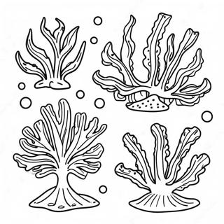 Pagina da colorare di alghe e piante marine colorate | pagina da colorare Alghe