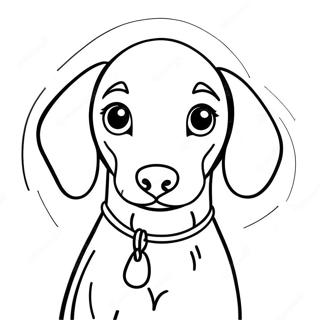 Pagina da Colorare del Cucciolo di Weimaraner | pagina da colorare Weimaraner
