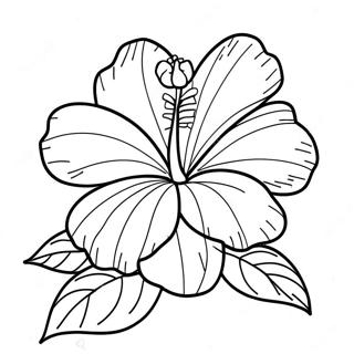 Pagina da Colorare di un Fiore di Ibisco | pagina da colorare Ibisco