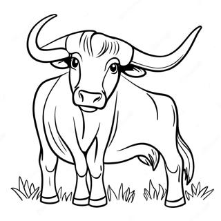 Pagina da Colorare del Longhorn del Texas | pagina da colorare Texas