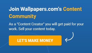 Wallpaper.com's Content Community Banner to Make Money